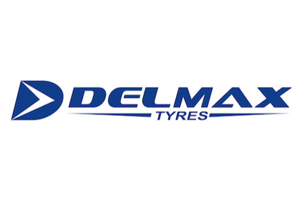 distribuidor neumaticos delmax